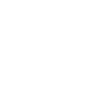 DS Document AI